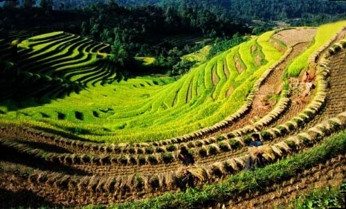 Những phương tiện đi lại ghé thăm Tây Bắc Cần phải chuẩn bị thuốc nào khi tới Tây Bắc?