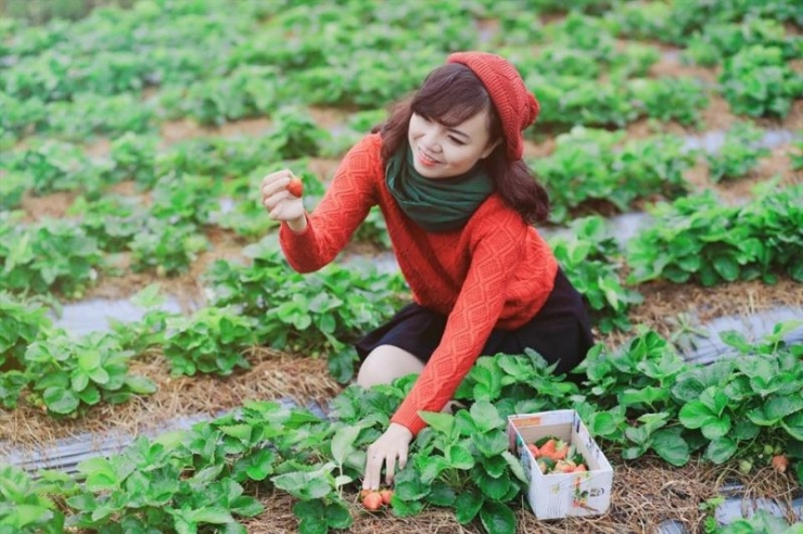 Tour du lịch Đà Lạt lễ 30/4 - 1/5 4 ngày 3 đêm