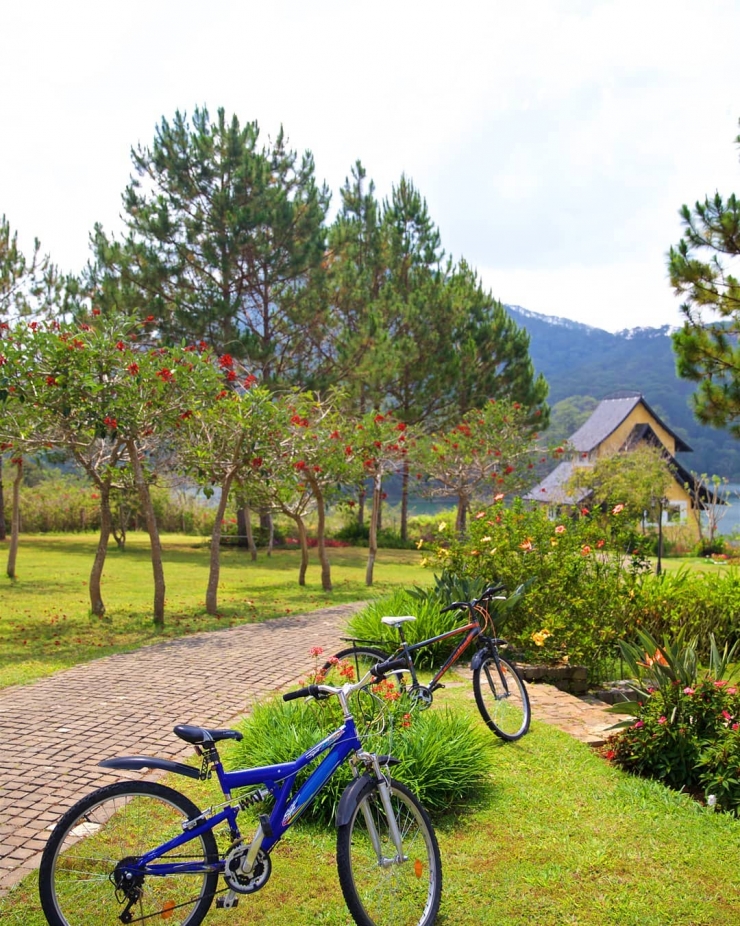Đến với Bình An Village Đà Lạt, các bạn có thể đạp xe rèn luyện sức khoẻ xung quanh Resort 