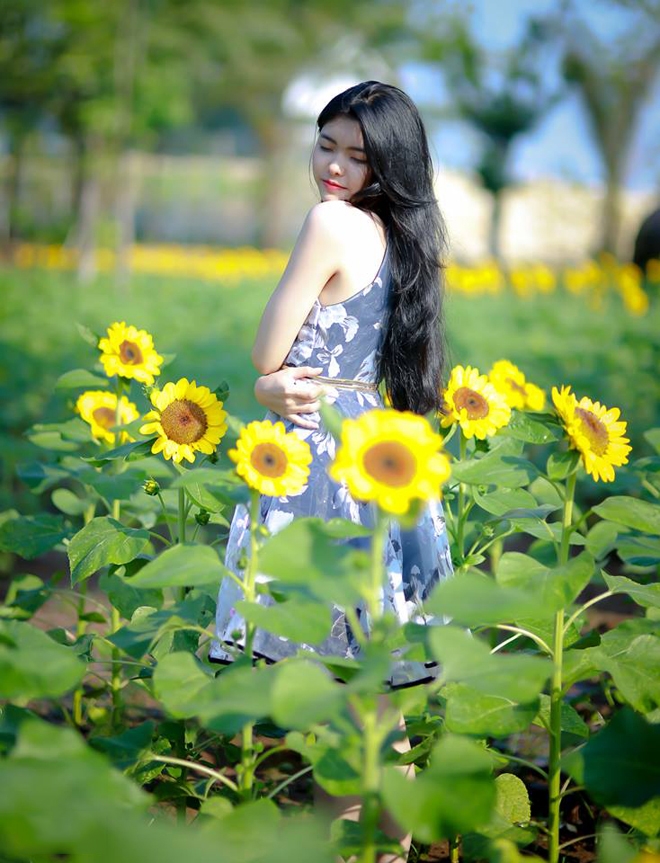Checkin tại vườn hoa hướng dương tại Bửu Long, Biên Hòa - Đồng Nai