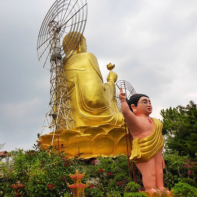 Bức tượng Phật bằng vàng cao 24m ngồi trên hoa sen ở Thiền viện Vạn Hạnh, đây là bức tượng Phật vàng lớn nhất Đà Lạt 