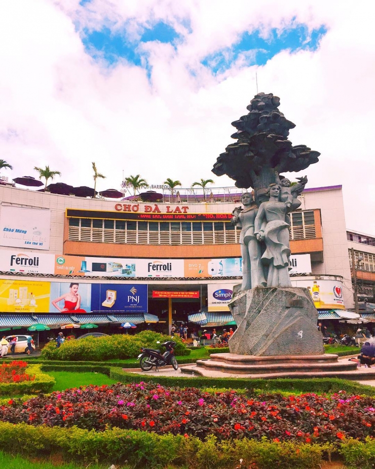 Tour du lịch Đà Lạt 3 ngày 3 đêm : Vườn Hoa Cẩm Tú Cầu - Hoa Sơn Điền Trang