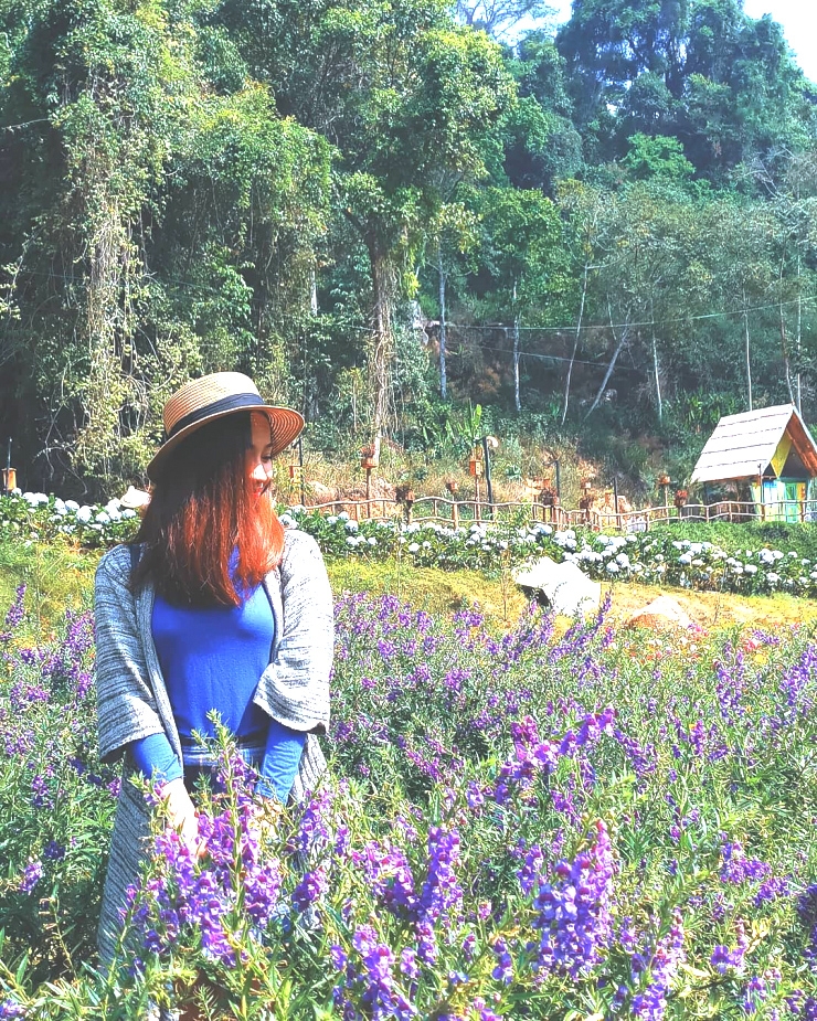 Chụp ảnh với cánh đồng hoa trong Hoa Sơn Điền Trang Đà Lạt 