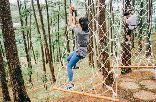 Trải nghiệm đu dây zipline xuyên rừng già tại Datanla High Rope Course