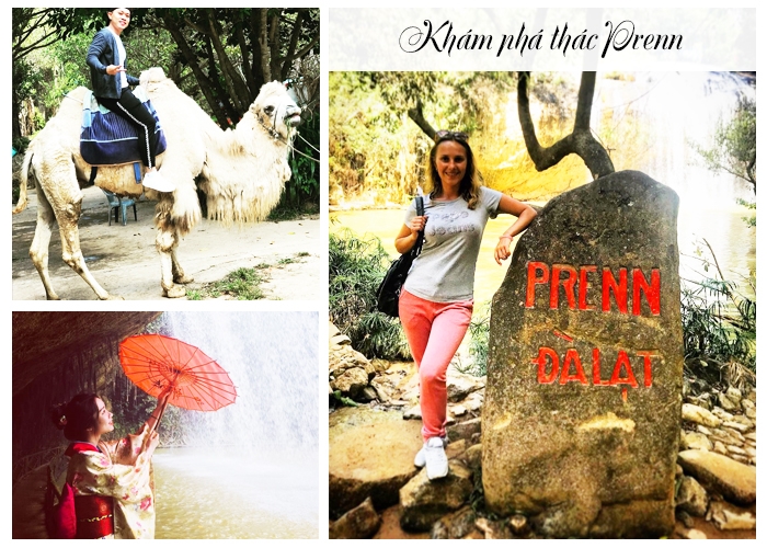 Tour du lịch Đà Lạt Tết Nguyên Đán 2019: Trải nghiệm Cầu Đất Farm