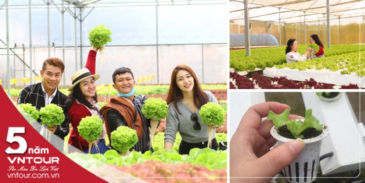 Tour du lịch Đà Lạt Tết Dương Lịch