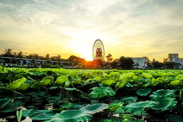 Tour du lịch Hà Nội Ninh Bình 3N2Đ: Tết Nguyên Đán