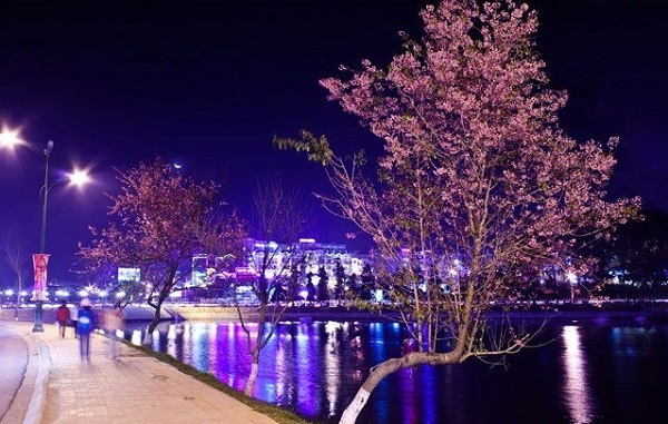 Thành phố Đà Lạt về đêm