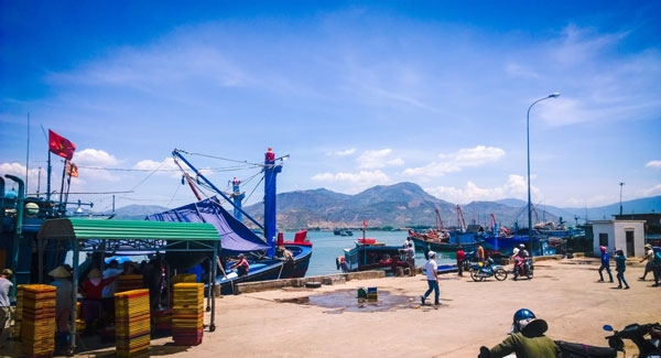 Tour du lịch Bình Ba – Nha Trang: đảo Tôm Hùm - Chùa Long Sơn