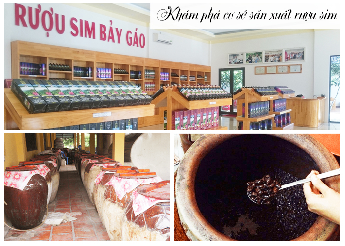 Tour du lịch Phú Quốc 3 ngày 3 đêm: Khám Phá Đảo Ngọc