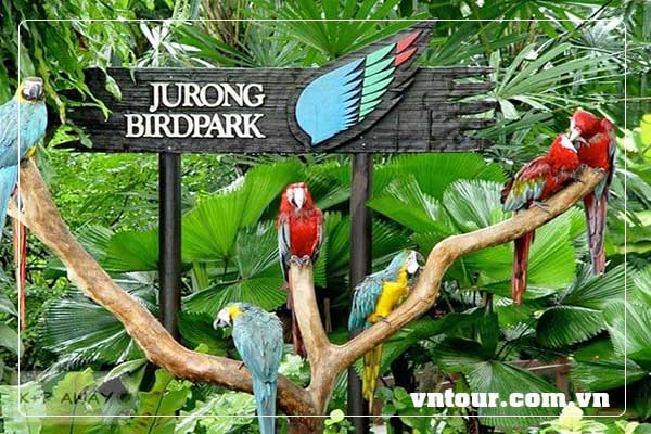 Vườn chim Jurong - Jurong Bird Park