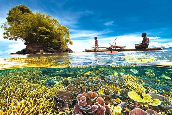 Đảo Coral thái lan-vntour