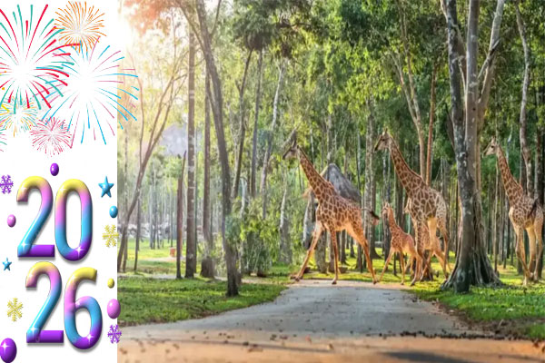 Tour Tết Dương Lịch 2026: Du Lịch Phan Thiết 2 ngày 1 đêm