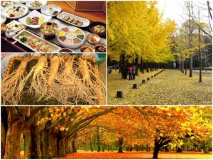 Tour du lịch Hàn Quốc - SEOUL- Eveland - Nami 5 ngày 4 đêm