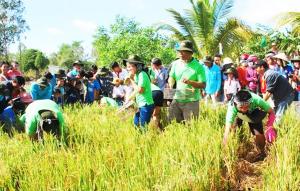Tour du lịch bắt chuột Đồng Mùa nước nổi 3 ngày 2 đêm