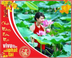 Tour du lịch Đồng Tháp Cần Thơ Tết Nguyên Đán 2020