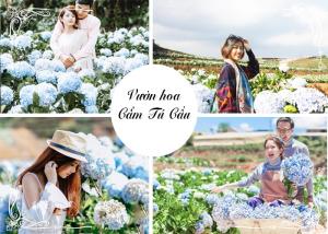 Tour du lịch Đà Lạt 3 ngày 3 đêm : Vườn Hoa Cẩm Tú Cầu - Hoa Sơn Điền Trang