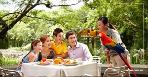 Tour du lịch Singapore 3 ngày 2 đêm giá rẻ 2023