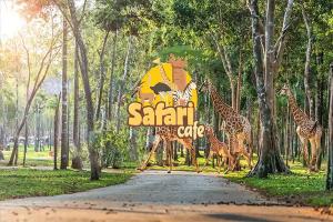 Safari cafe Phan Thiết - Trọn bộ kinh nghiệm tham quan mới nhất