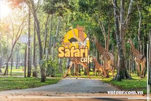 TOUR PHAN THIẾT 2 NGÀY 1 ĐÊM 2025 ( Teambuiling - Giá rẻ)